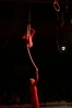Show
